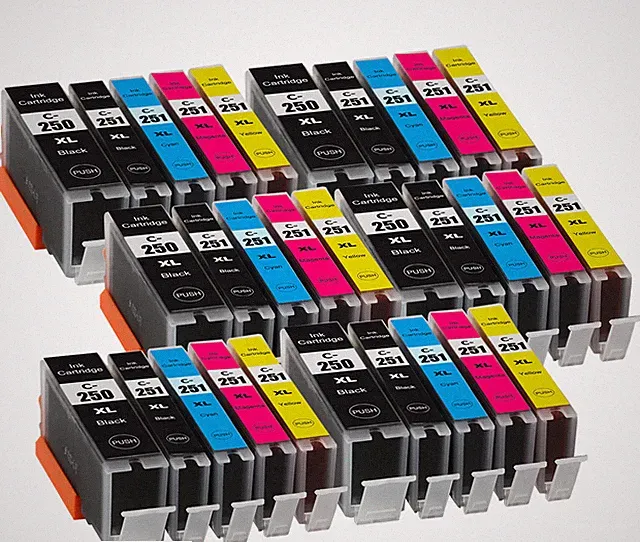 24PK Custom Ink Set (See Description for Quantities)